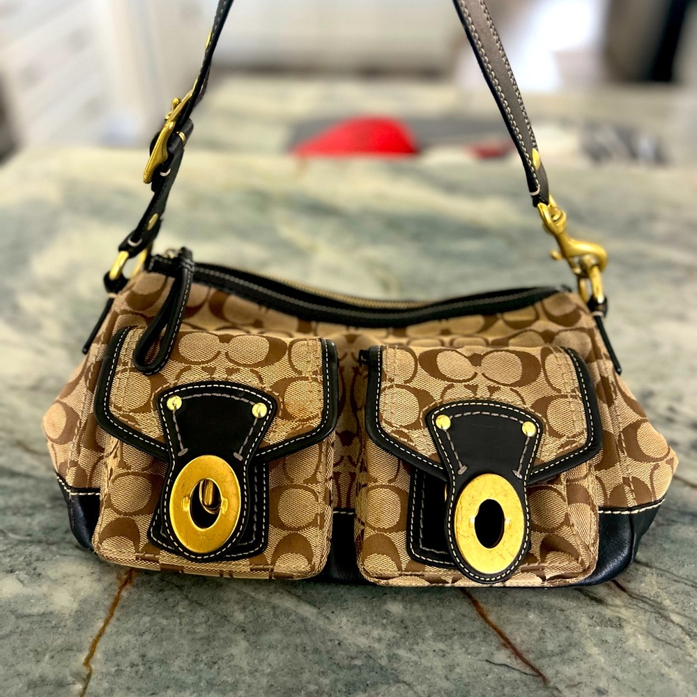 Brown Coach Bag
